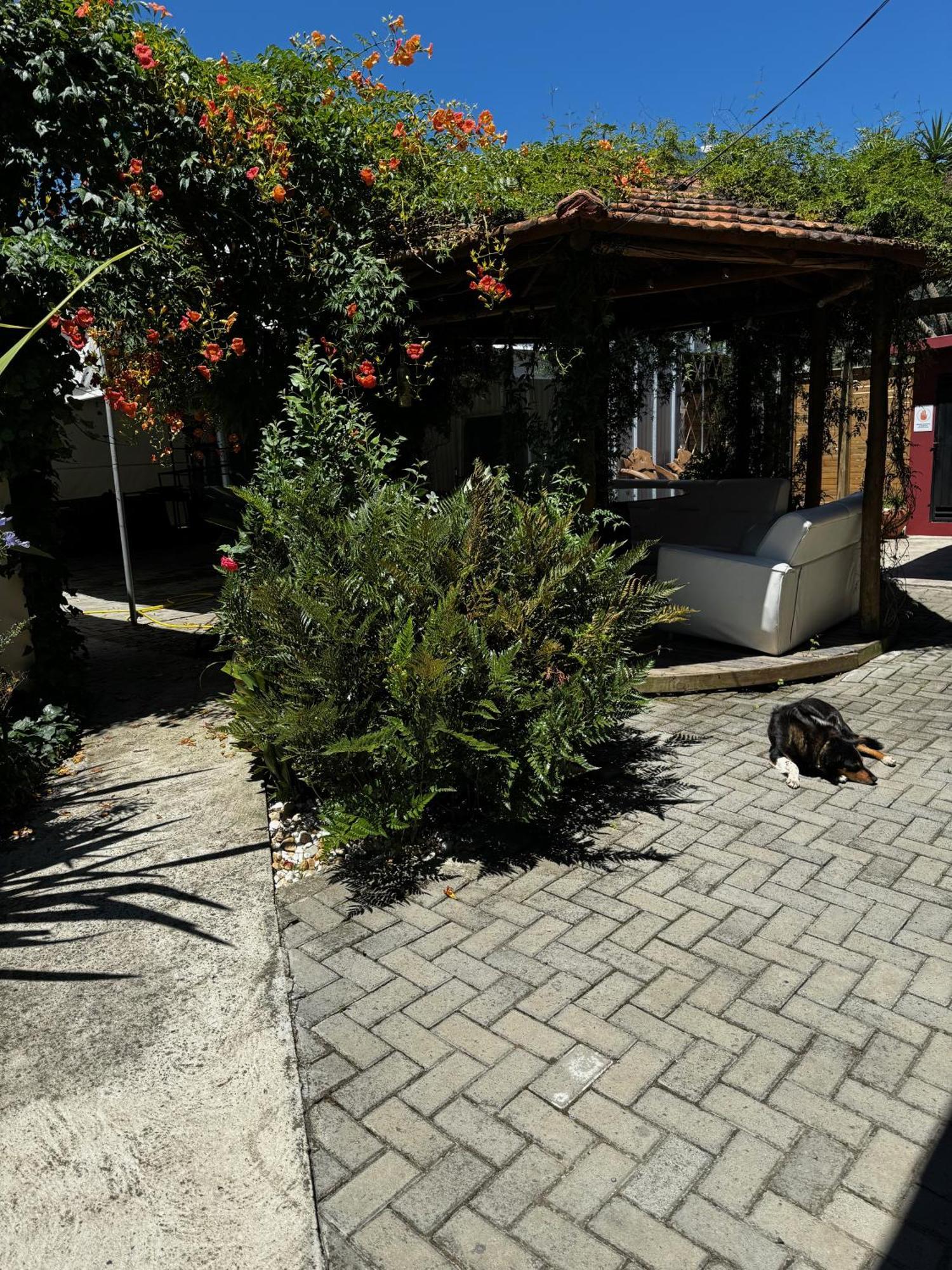 Pousada Upserra Urubici Exterior photo